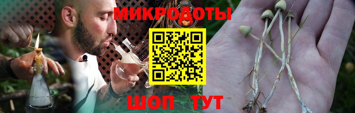Псилоцибиновые грибы MAGIC MUSHROOMS Ухта